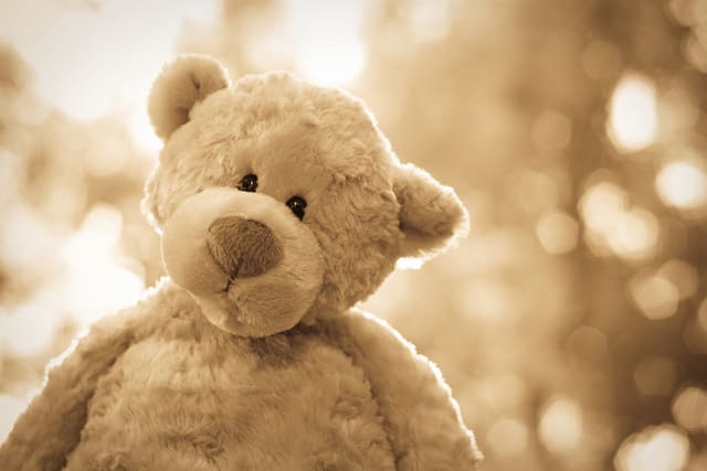 Every little girl needs a teddy bear. Valentine's Day is the perfect time to give her one. This one's Philbin, from Gund.