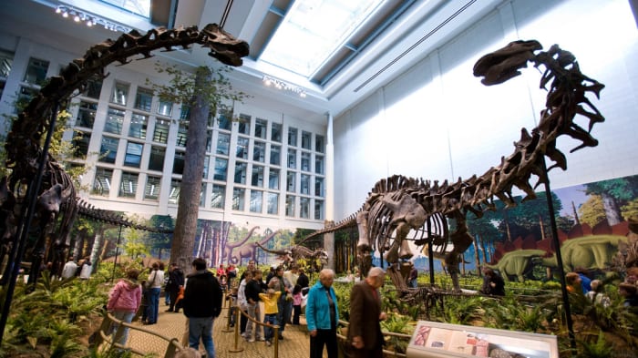 Yes, millions of American school kids have been lied to for over 100 years into thinking the Brontosaurus was real.