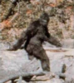 Known as the Patterson-Gimlin film, this is by far the most famous and controversial film on the subject.