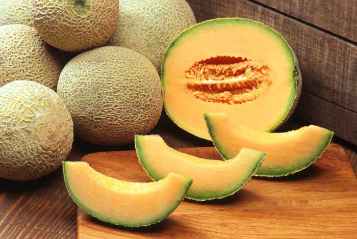 cantaloupe fruit