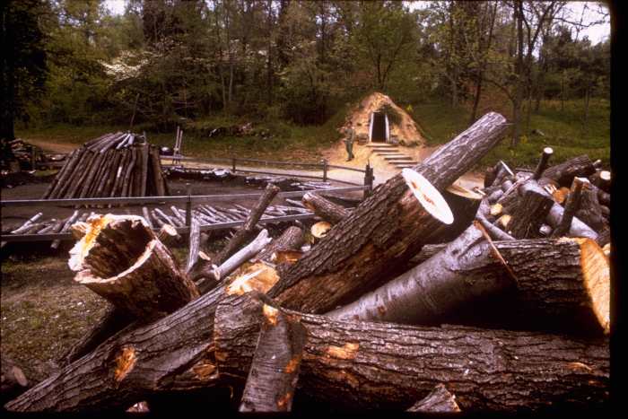 Wood from an acre of forestland is needed every single day to make the charcoal for a charcoal blast furnace.