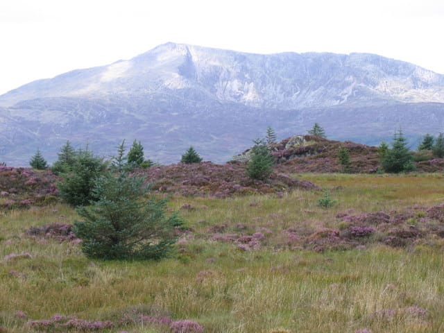 Between Penmachno and Dolwyddelan The path from Ty Mawr Wybrnant, near Penmachno, to Dolwyddelan goes through the heather and whin of this boggy moorland, with Moel Siabod dominating the view ahead and the Snowdon Horseshoe prominent to the left.