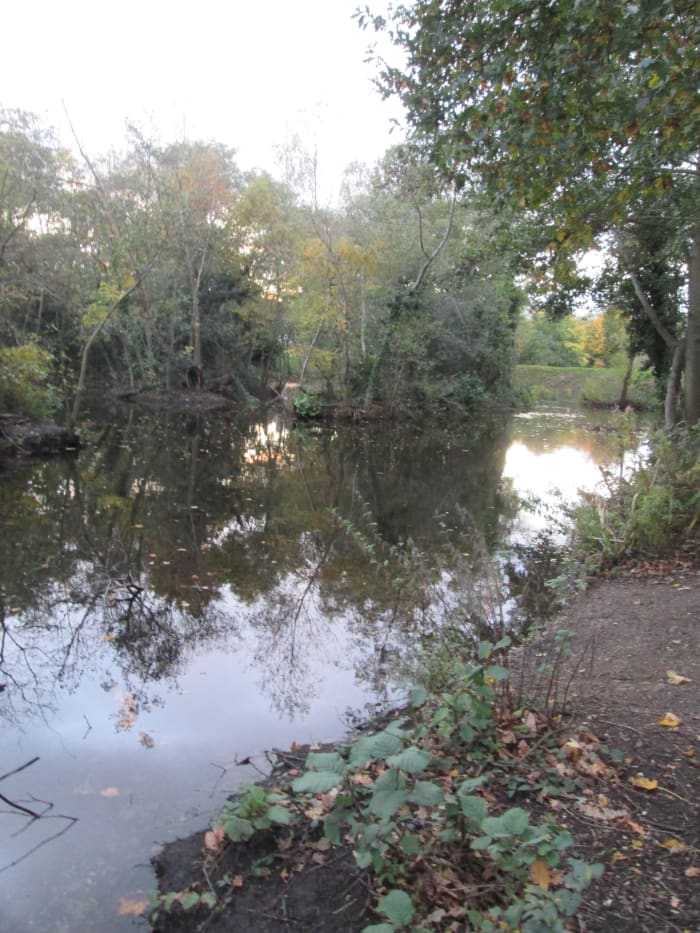 Since the islands on the Perch Pond were tidied up the landscape doesn't look so much like the Everglades