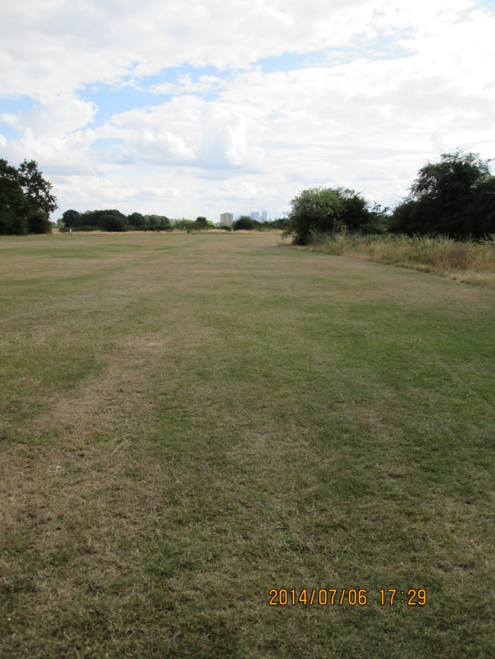 Looking across Wanstead flats from beside the Aldersbrook Road towards Forest Gate (with Canary Wharf in the distance)