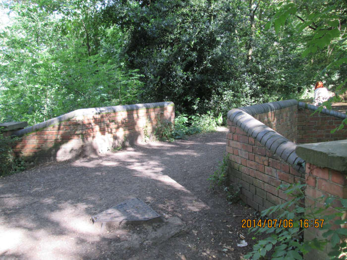 A narrow bridge over a deep drainage channel that takes the overflow from the Perch Pond to the great lake to the east of here through what has become a jungle