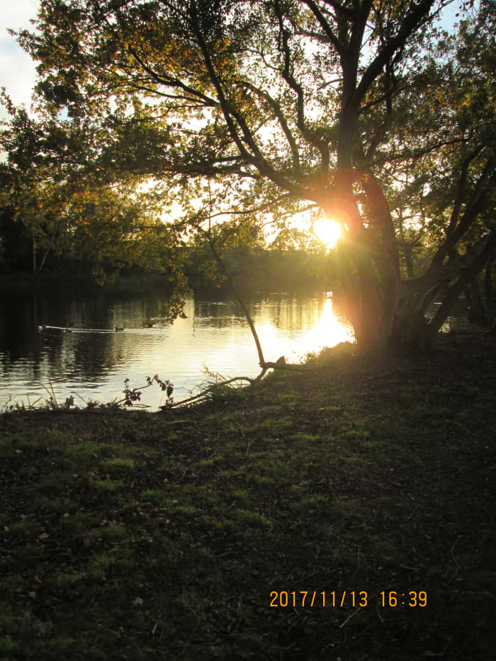 A low sun, a few trees and a 'contra jour' (against the sun) shot near where the cycle path turns around the golf course