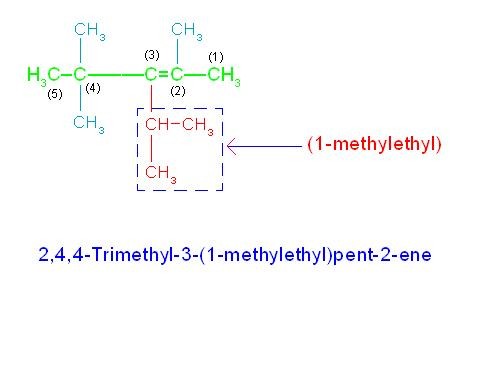 (1) Numbering is started from right end because double bond comes early. (2) Numbering of carbon atoms from 1 to 6 as shown in picture, is ideal as it contains maximum substitutions of 4.