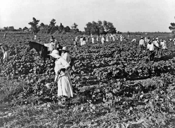 If someone tells you that a person who picked cotton was never depressed, they are telling you a lie.