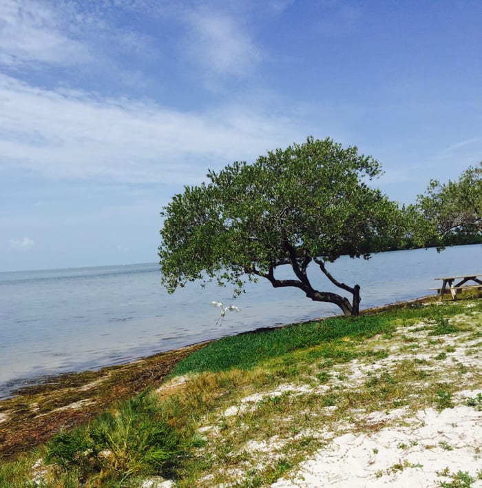 This shot is down the beach area in the Curry Hammock State Park. You get a nice panorama of the Atlantic Ocean and a few small islands. And you get a great breeze which is a necessary thing here in the Keys.