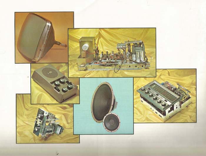 In 1967 Curtis Mathes build most of its own components, cabinets, speakers, transformers, coils, chassis, flybacks, circuit boards, vacuum tubes, and the the CM Module, a total color Television.