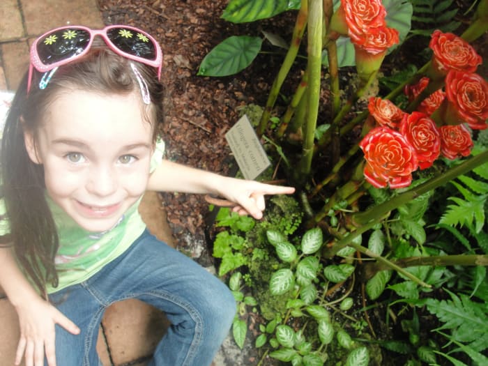 Mesmerized by the zingiberaceae flowers at Fairchild Tropical Gardens (where we got in free with our AHS card)