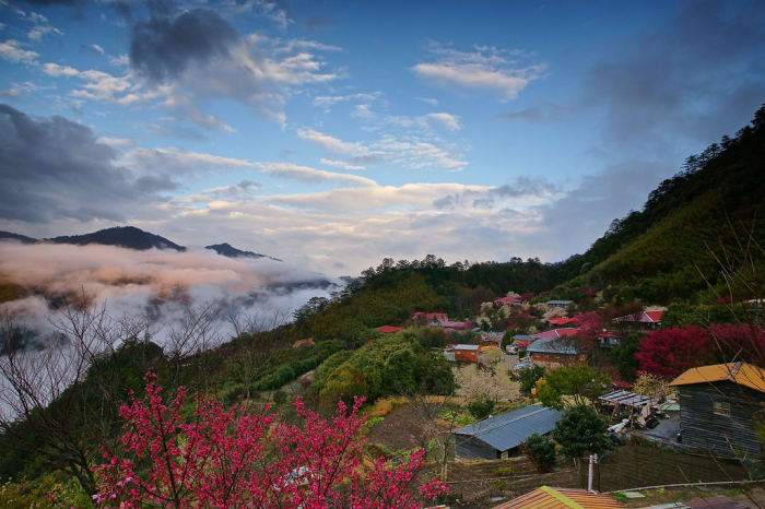 Only 23 families live in this remote village of Smangus in Taiwan, which has a system of eco-communalism in order to control and sustain tourism to the area, necessary since the world was made aware of the giant cypress trees growing in the area.