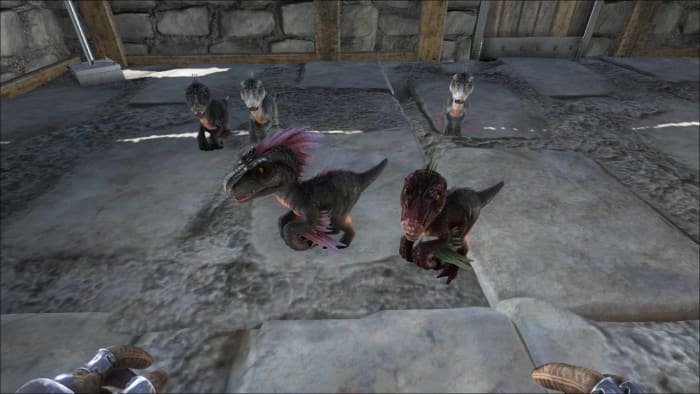 Its fairly easy to breed the dinosaurs on Ark survival evolved, however, it can be time consuming to hatch the egg and raise them to where they can defend them self.