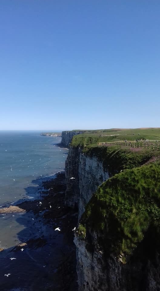 A picture taken of the cliffs looking towards Flamborough Head by yours truly back in May 2018.