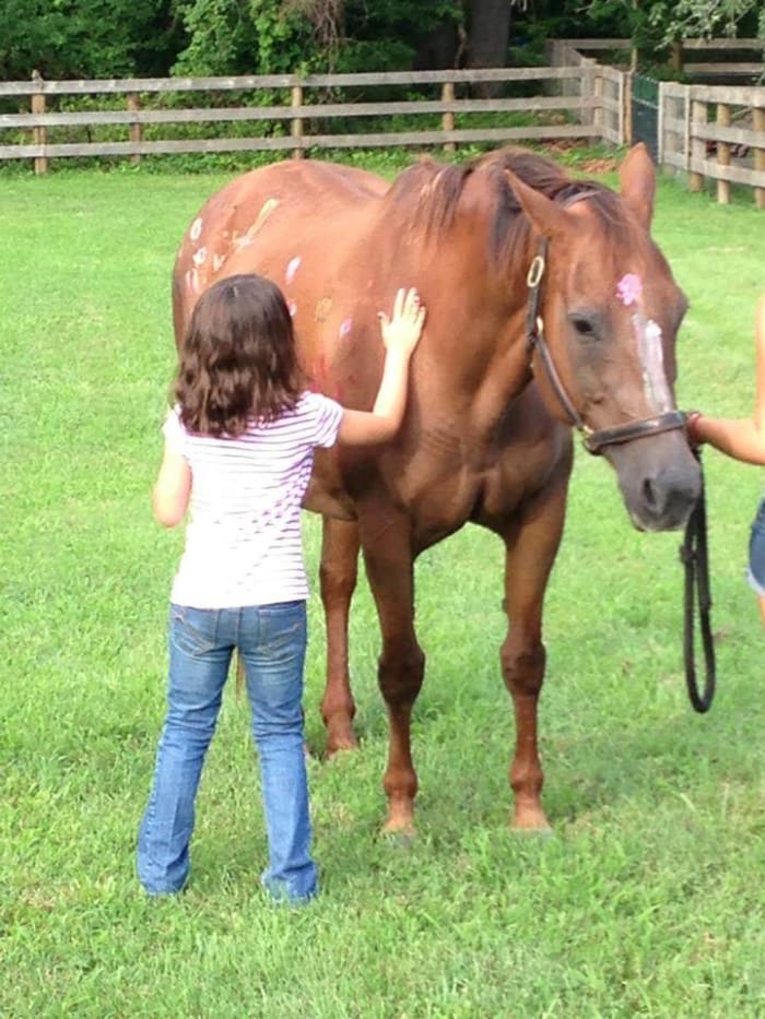 All the kids have their favorites, but they will learn to ride and handle a wide variety of horses.