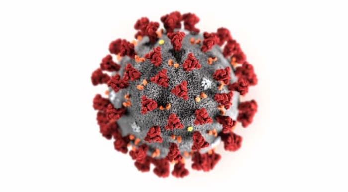 Under the electron microscope, those red protuberances look like the Sun's corona