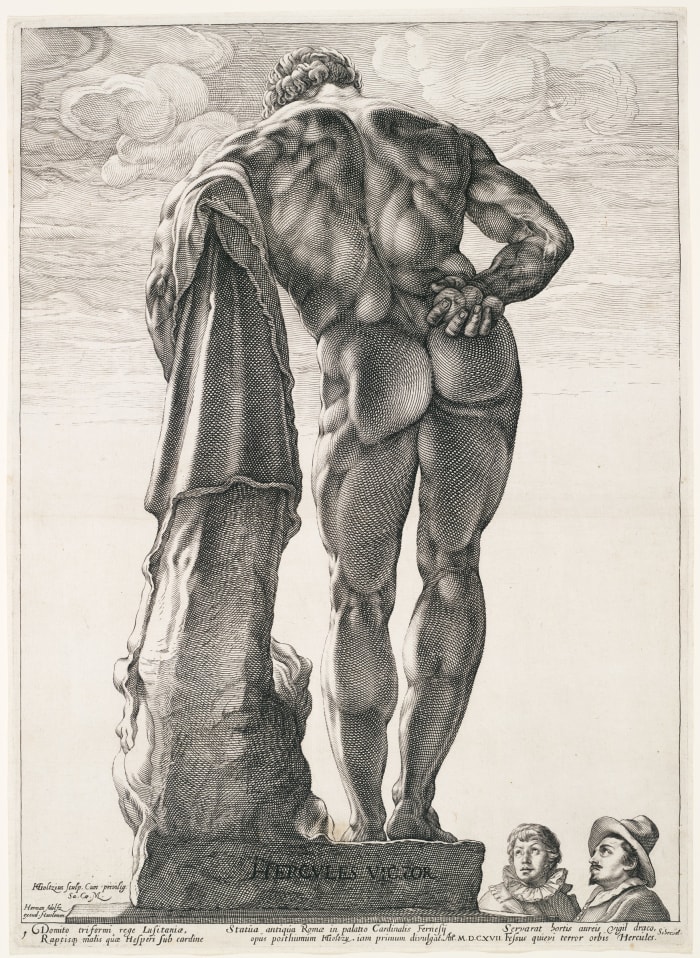 The large muscles of the gluteals and hamstrings can be compared here to the smaller muscles of the upper limbs, in this drawing portraying Hercules