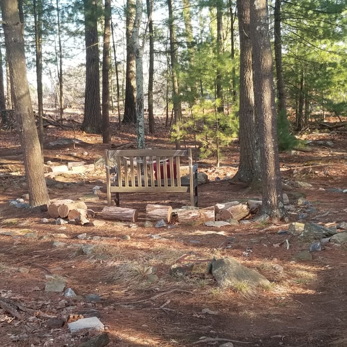 The soft light of late afternoon makes the labyrinth in the woods glow magically. The author loves walking the path at this time of day, barefoot when the weather is warm.