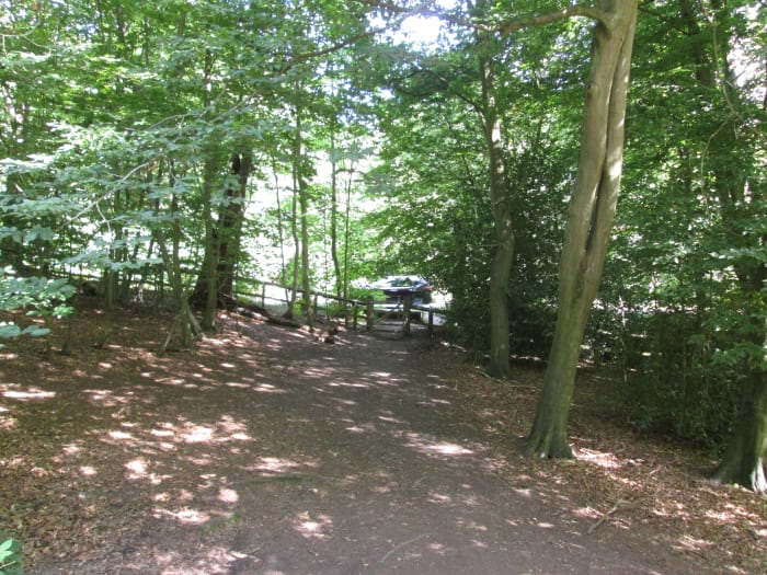 And then it's back to the walk over the dappled path, almost 'palomino' don't you think?