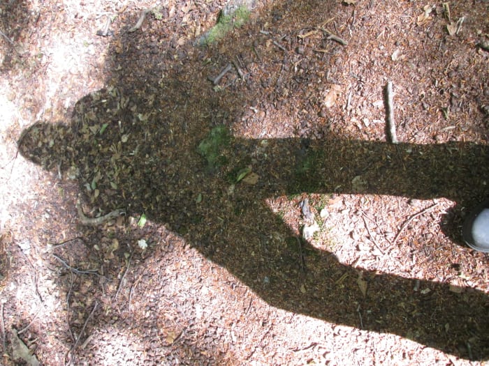 I thought I'd add a 'self-portrait', an impression of me on the ground. No doubt I left some sort of impression along my way.