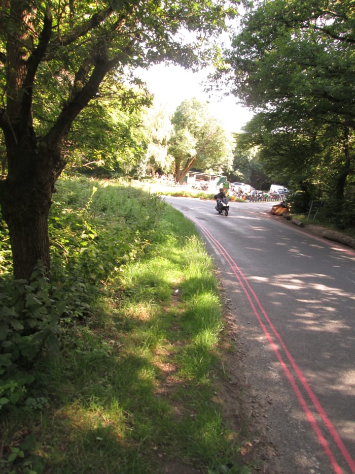The tree canopy parted to let the sunlight stream through as I walked along, cars - and this motorcyclist - heading past me in the same direction, back to the main road