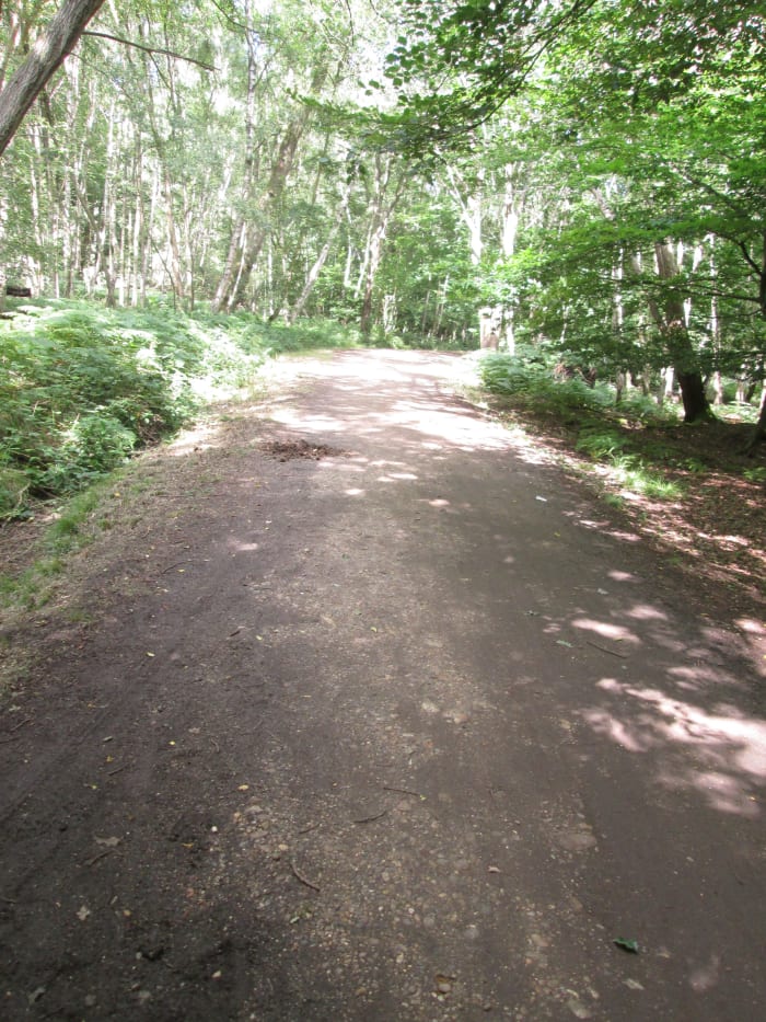 ... It's like nature's bucking bronco. Riders on divers 'mounts' pass this way, on horses and pushbikes mostly, sometimes on skateboards, usually on foot.