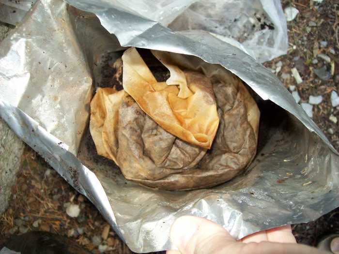 Starbucks coffee grounds and filters are compostable and can improve soil structure while adding nutrients