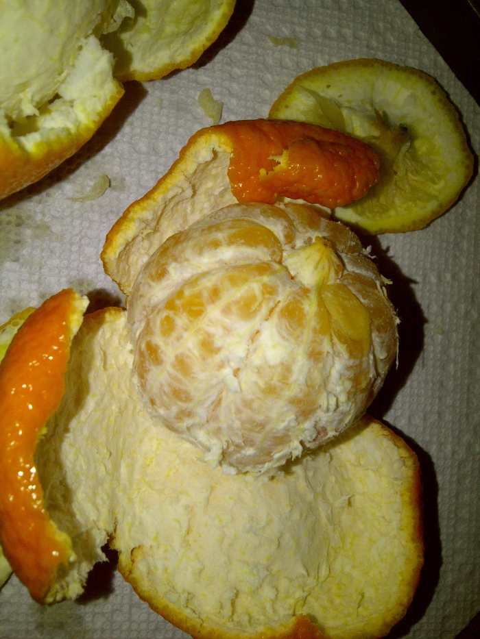 peeled clementines