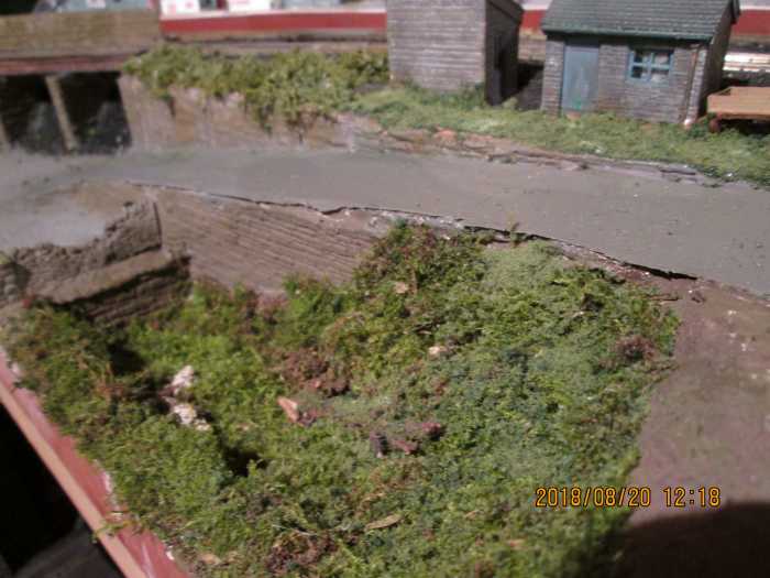 The 'carr' has been inundated by greenery, as has the ground around the two railway buildings this side of the occupation bridge. A few railings
