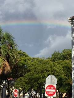 July 13, 2016 @ 7:50am. This caption was taken over the Emancipation Garden Down Town Charlotte Amalie, St. Thomas USVI.