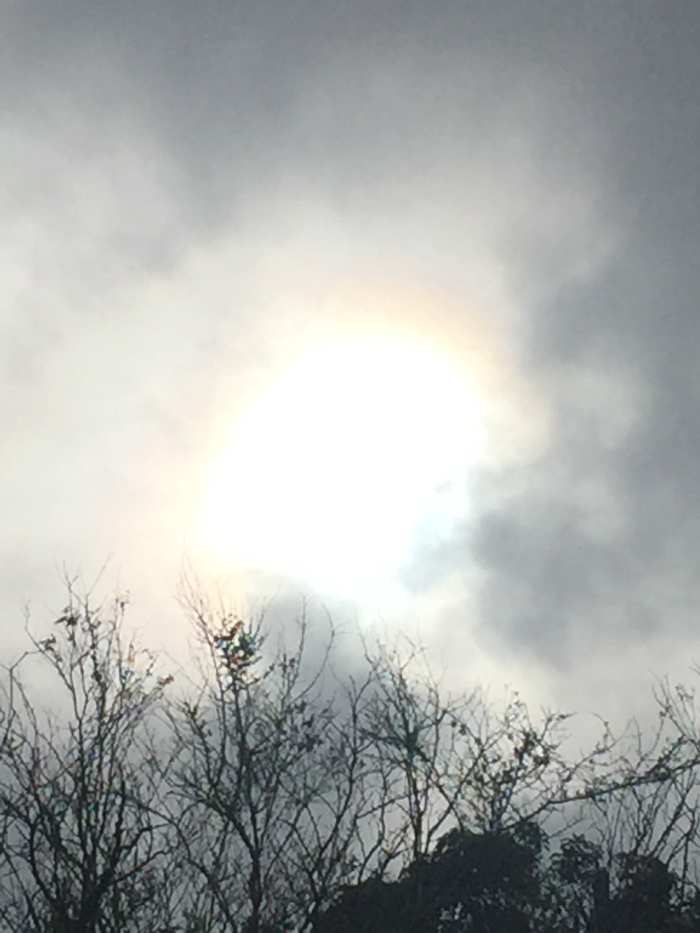 It was a day after hurricane Marie. Captured on September 26, 2017 @ 3:49 pm A sunbow right above the trees right before sunset over the mountain top. Incredible