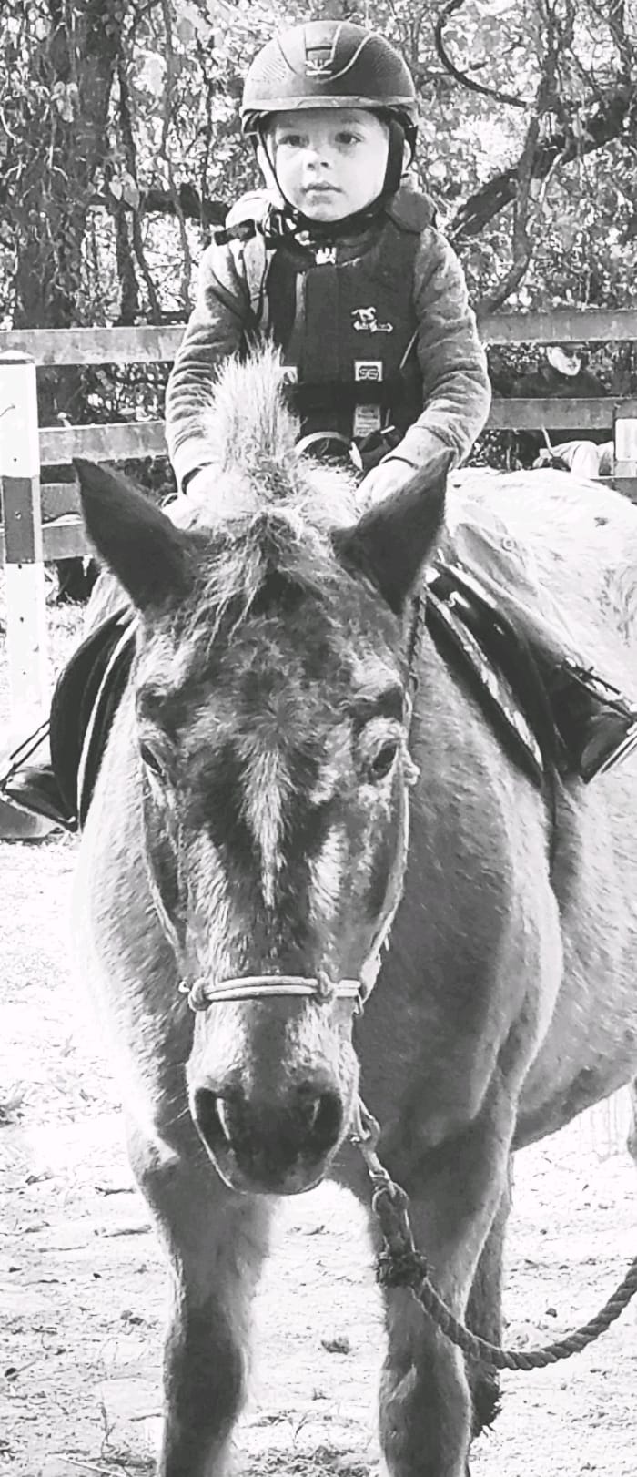 How young is too young for a child to start riding lessons? This is my nephew, age 3 1/2 at the time. He is not in lessons yet, but being in a "horsey family" he has had a lot of time in the saddle for his age.