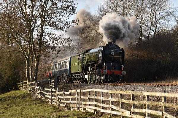'Tornado' on her second return from Redmire on one day during her mid-February visit - see also the following pair of views