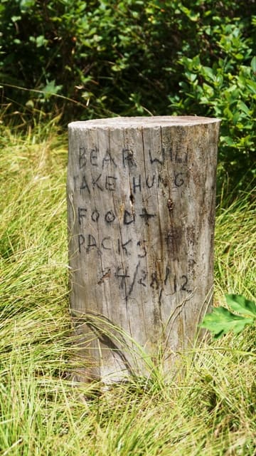 Using bear canisters could have helped these people. Wildlife encounters are common in the wilderness.