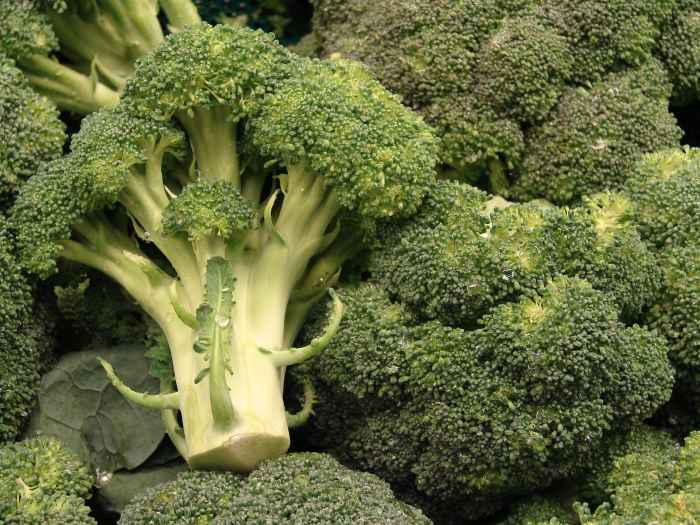 broccoli heads