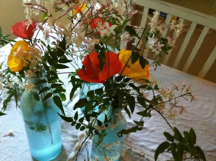 Fresh picked flowers in a conservatory. The vases are old milk bottles that are tinged with blue
