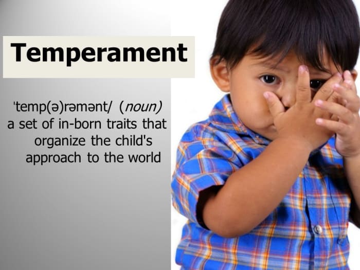 Temperament in School Age Children and the Effect of Success in the