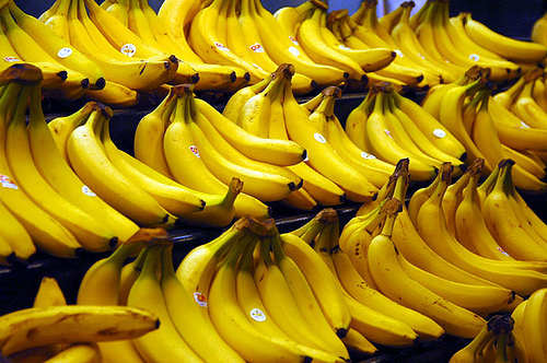 Cavendish bananas that are sold in most supermarkets can also be use for this cekodok or mashed banana fritter recipe