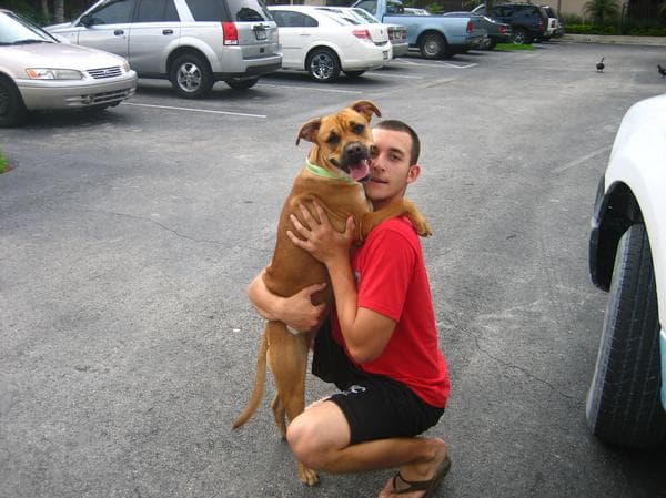This is Xena the Warrior Princess, my son's first baby. She is a mix breed of Pit Bull, Lab, and German Shepherd.