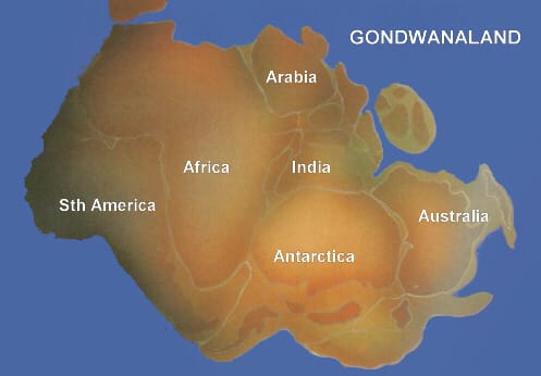 Gondwana included most of the landmasses in today's Southern Hemisphere, including Antarctica, South America, Africa, Madagascar and the Australian continent, as well as the Arabian Peninsula and the Indian subcontinent, which have now moved entirely