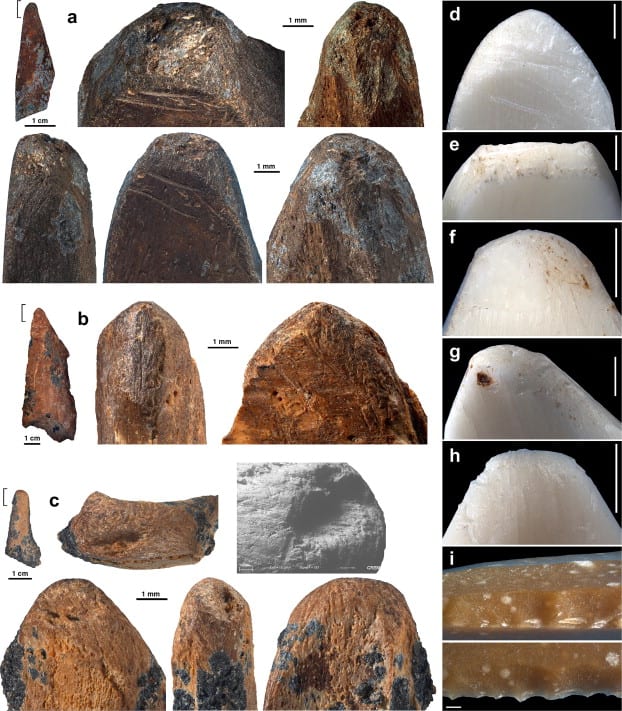 Traces of modification and use recorded on bone tools from post-Howiesons Poort (a), and Howiesons Poort (b–c) layers interpreted as pressure flakers, compared to those produced experimentally in this task (d–h) to retouch lithics (i).