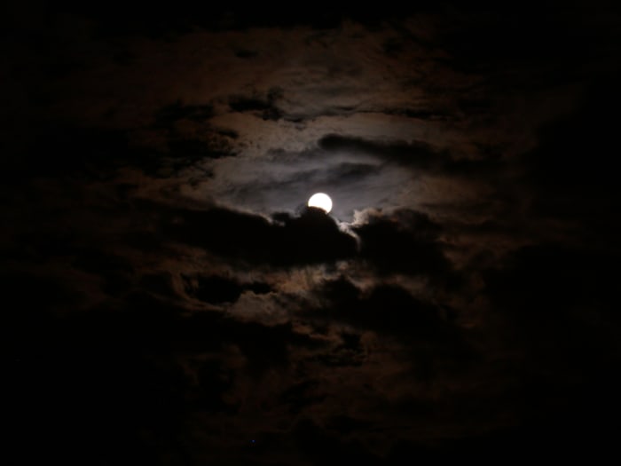 Night, the darkest time, is associated w/harm, even danger.People are warned not to go out at night unless in a crowd for what might befall them.Monsters,vampires,&demons, are associated w/the night. As it's foreboding, people ELECT to stay inside.