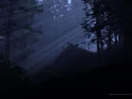 Darkness has a sinister reputation.It is seen as evil. It is also murky, morbid, even macabre. It is what is hidden, even occult. Darkness is what is considered forbidden, even taboo. It is evem associated w/sadness and moroseness.