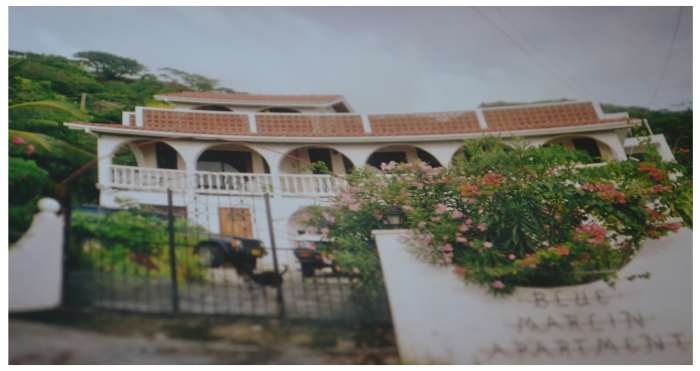 This is where I created my very first garden and where friends and neighbours left gifts of herbs at the gate.