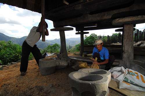 Traditional Way of Separating the Chaff from Rice Grain (Photo courtesy by Greenpeace Southeast Asia from Flickr.com)