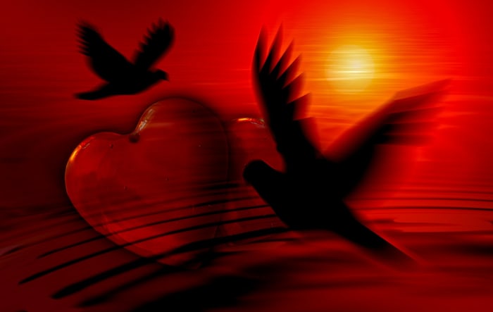 “Your task is not to seek for love, but merely to seek and find all the barriers within yourself that you have built against it.” ― Rumi