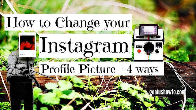How to change your Instagram profile picture in 4 easy ways on PC, android, iphone and windows phone