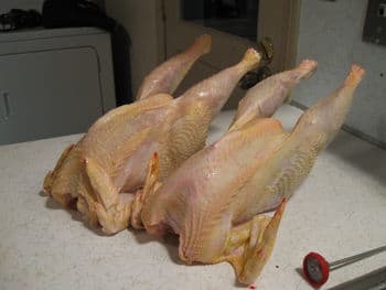 These 4.5 months old Barred Plymouth Rocks prove dual purpose birds can still make for a good meal. This would be a dish our grandmothers and great grandmothers would have prepared here in New England.