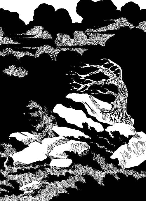 The horizon black with storm clouds and the violent winds are chilling to the bone. A horribly bent skeleton of a tree clings to the rocks.