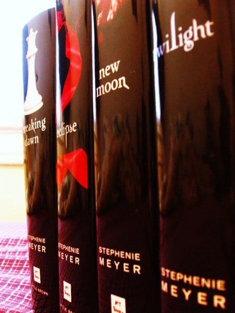 Even though the Twilight series has been concluded, fans still have theories to what the future will bring for the characters after the last installment Breaking Dawn.